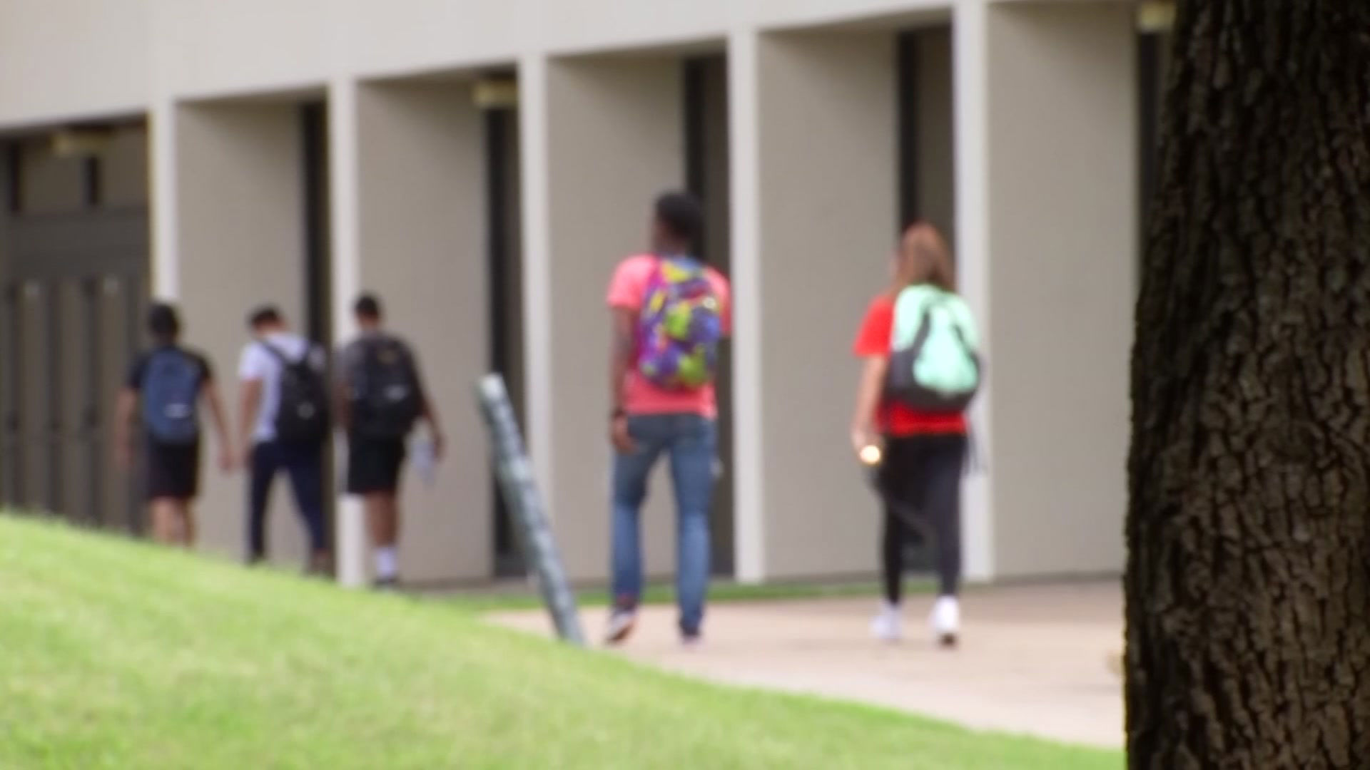 Piden a universidades identificar a estudiantes indocumentados para cambiar su matrícula
