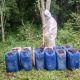 operativo-en-culiacan-descubre-arsenal-quimico-par-3b38a
